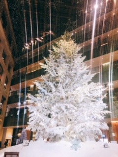 image1.jpeg