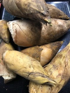 image1.jpeg