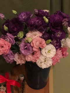 image1.jpeg