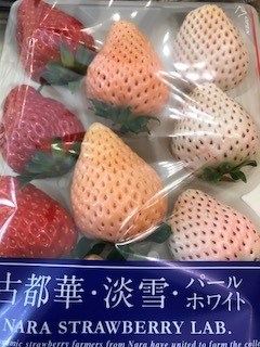 image1.jpeg