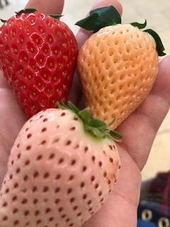 image2.jpeg