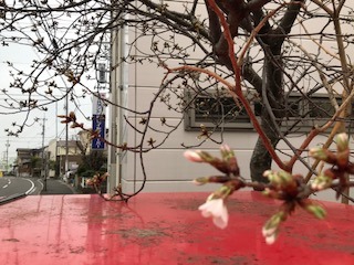 image1.jpeg