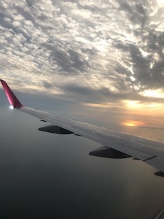 image1.jpeg